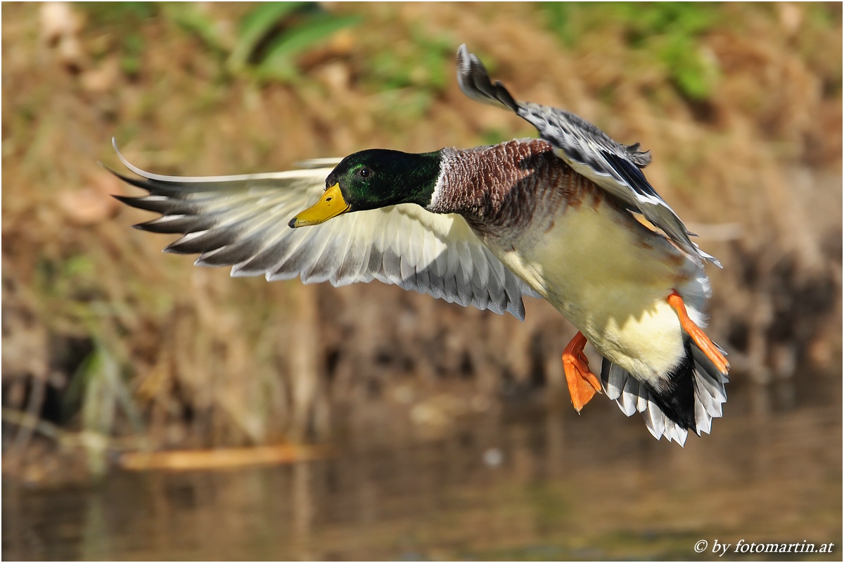 Landeanflug