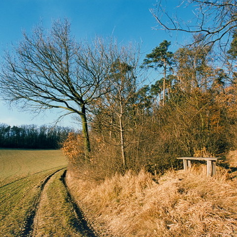 verweile