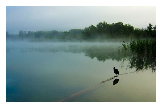 Ein Morgen am See (2)