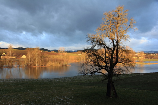 Morgendlicher Ausblick