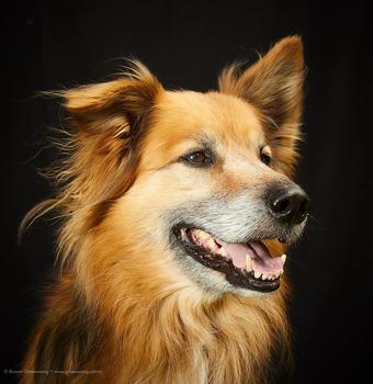 Sancho