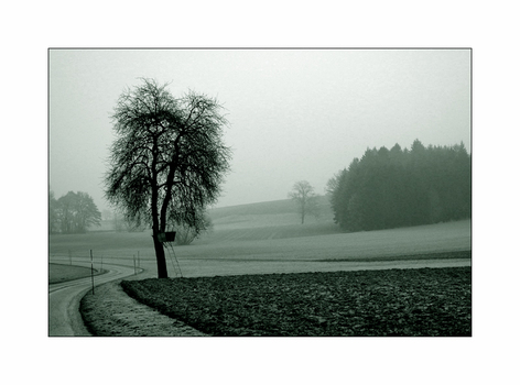 Februar