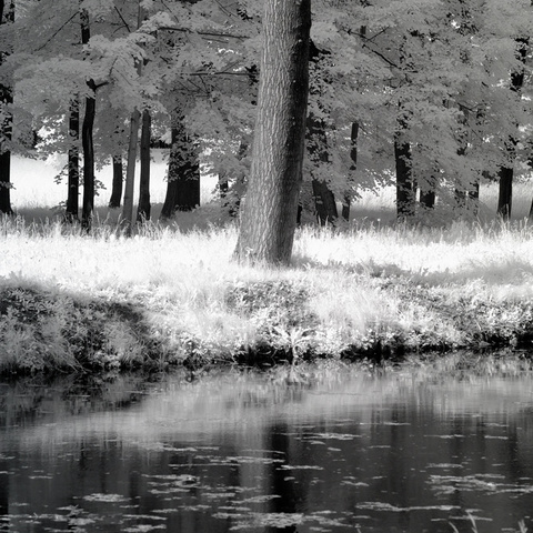 baum