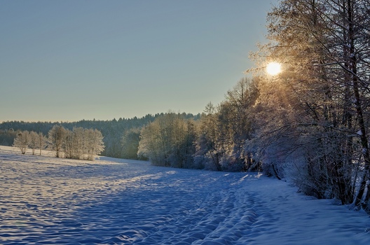 Wintersonne