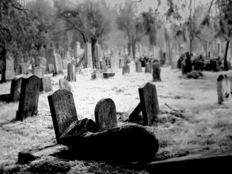 Zentralfriedhof 2