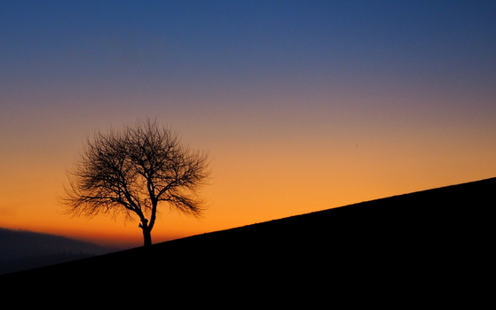 Morgenrot