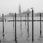 wieder einmal Venedig