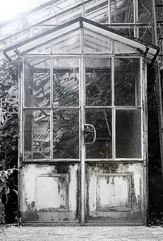 Glashaus