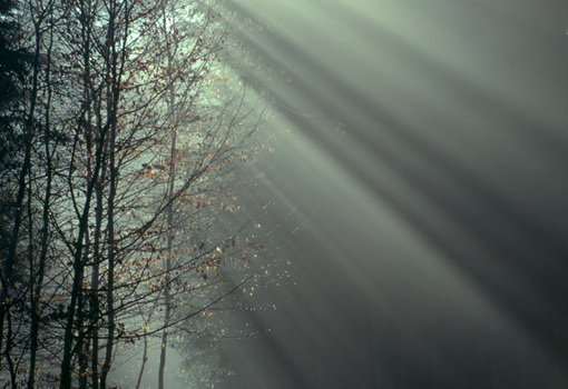 Lichtstrahlen
