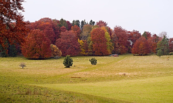 Herbst auf dem Raichberg