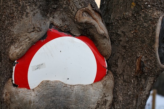 Nature strikes back!