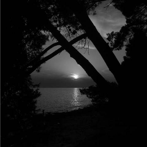 sunset B/W