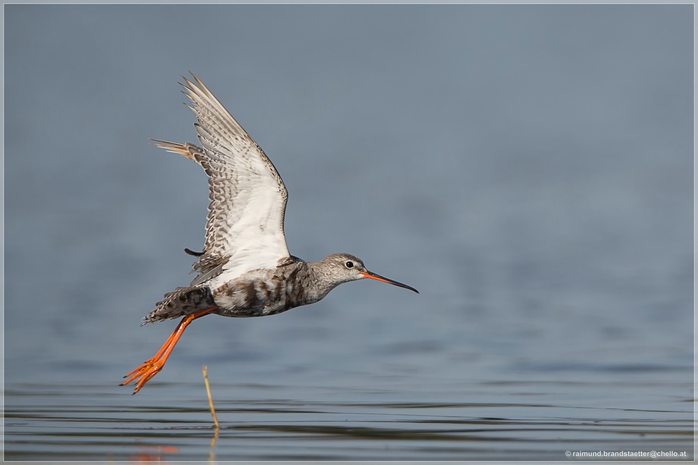 Abflug
