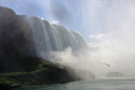 Niagara