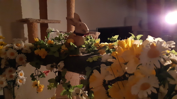 Brücke in den Frühling