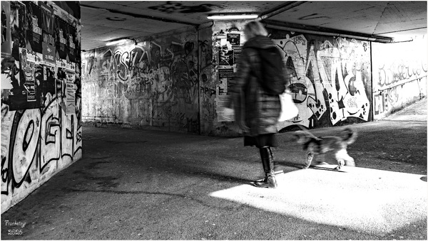 Ohne Titel