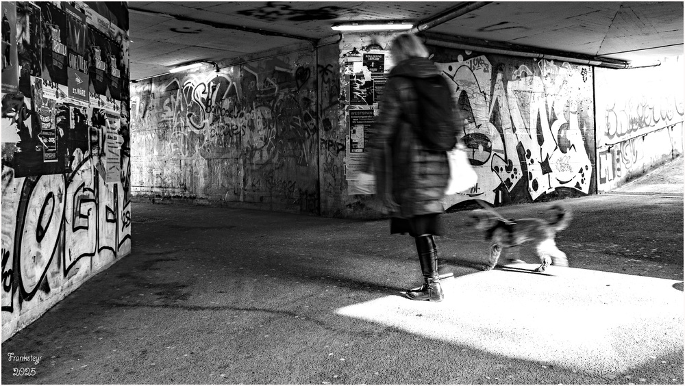 Ohne Titel