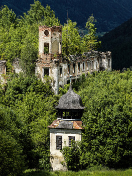 Wald frisst Schloss