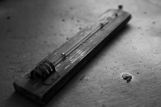 Thermometer