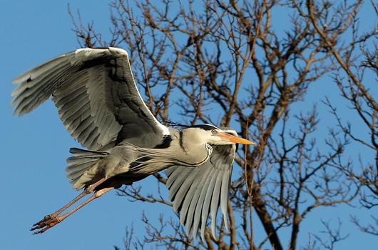 Vorbeiflug