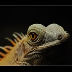 Ein Blick