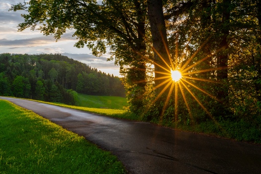 Sonnenuntergangsblendenstern