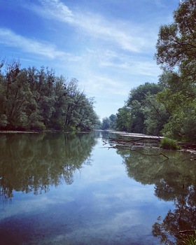 Mitterwasser
