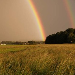 Landschaft