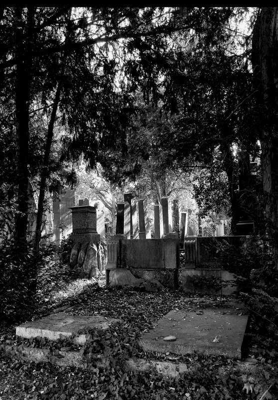 es lebe der zentralfriedhof4