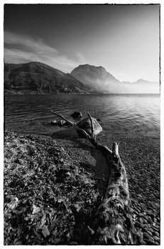 strandgut  am  Traunsee