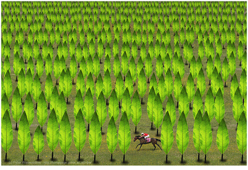 a tribute to Rene Magritte