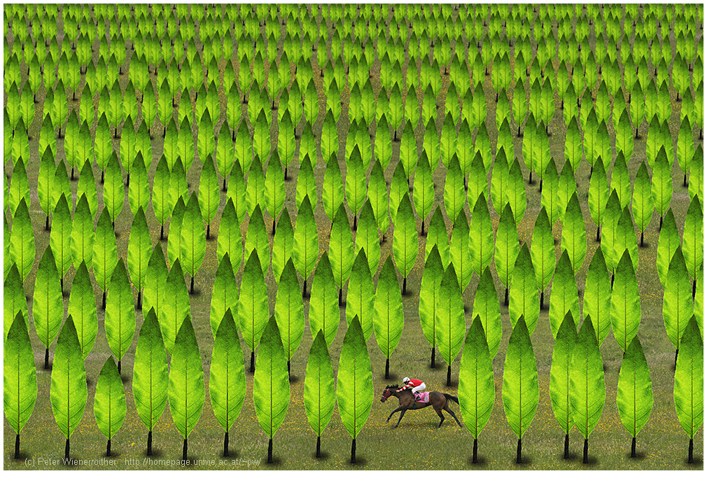 a tribute to Rene Magritte