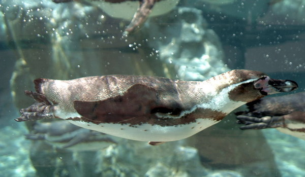 Under water