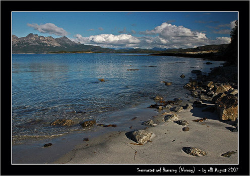 Sommersel