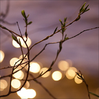 Lichtpunkte