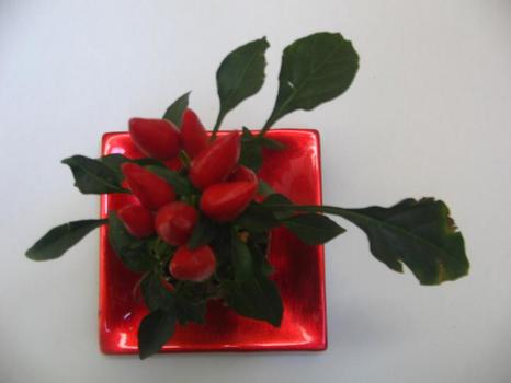 weihnachts-chili