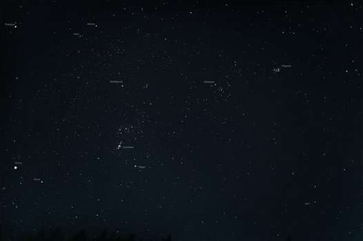 Orion
