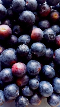 Heidelbeeren