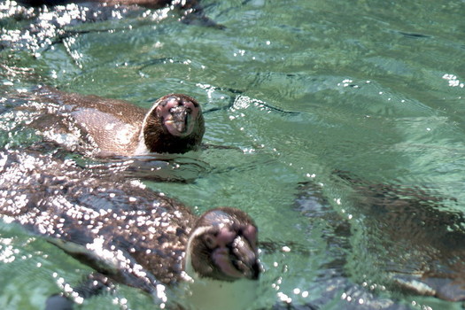 Badefreuden1