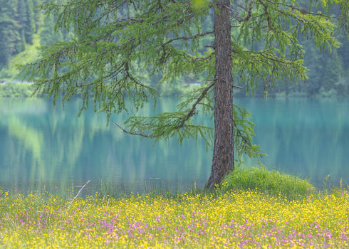 Antholzer See, Südtirol