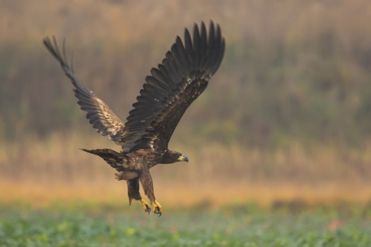Abflug...