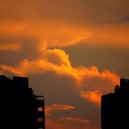 21 - End of Days