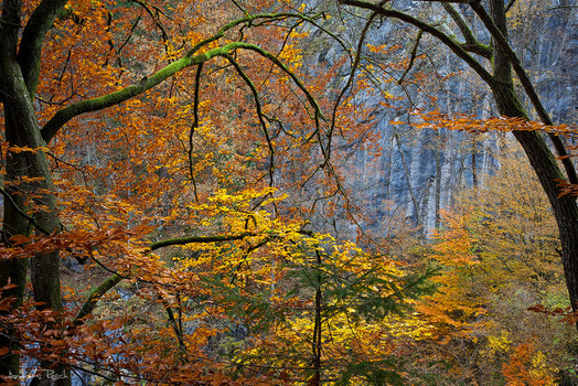 Herbstfenster
