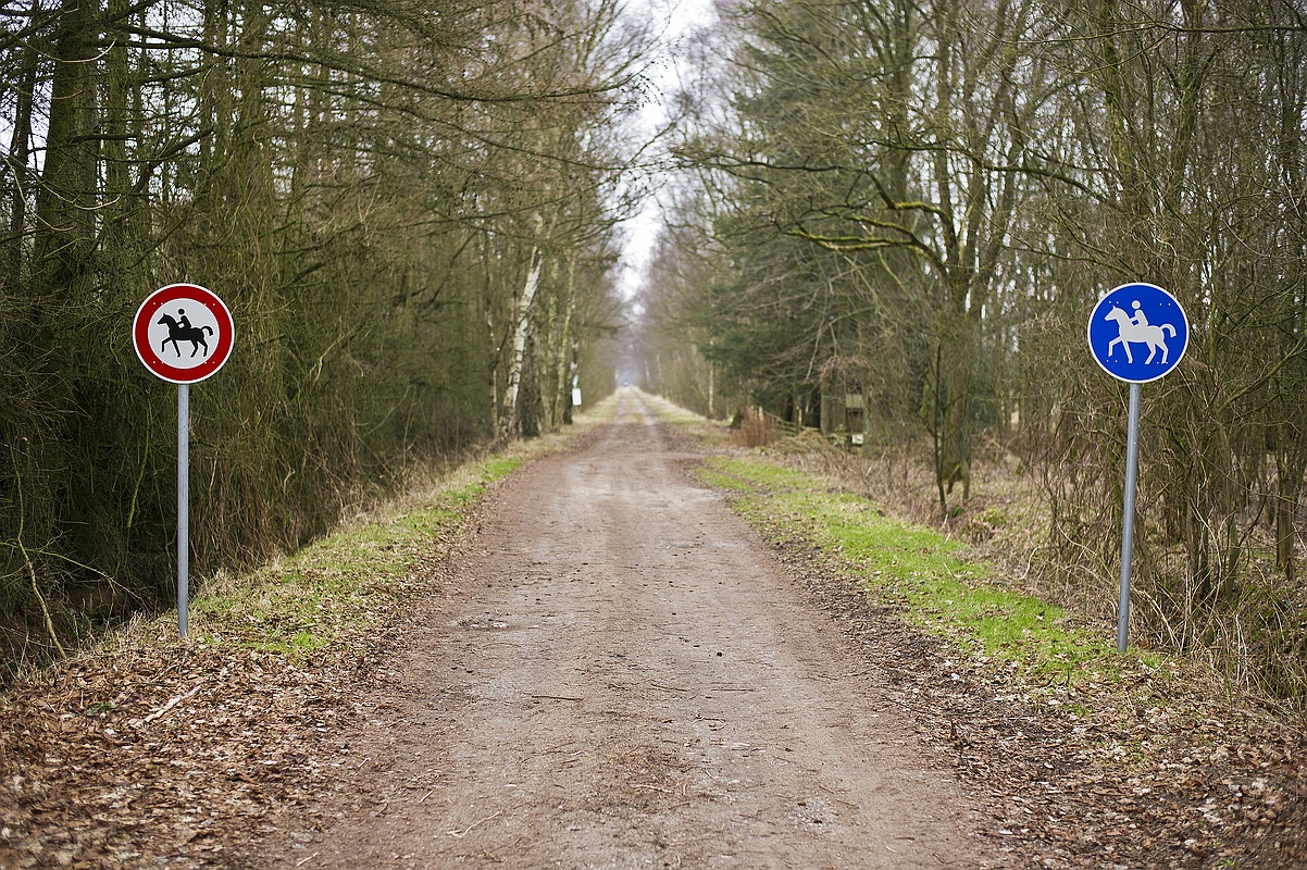 Der Amtsschimmel