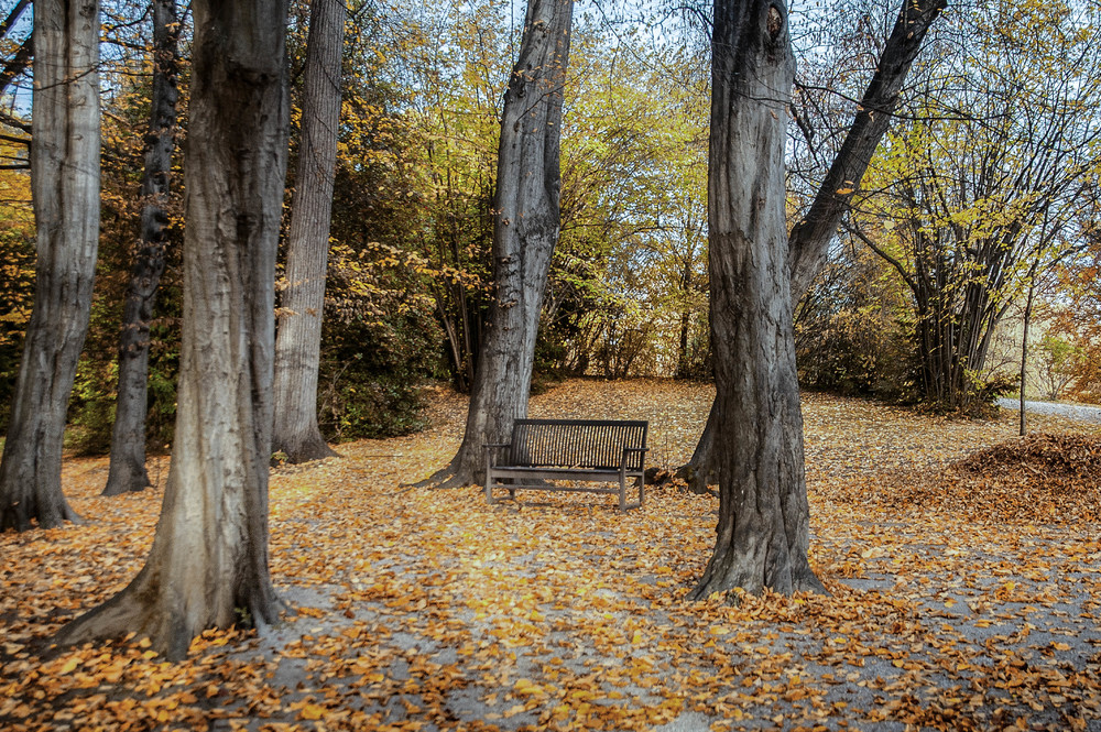 Grazer Burggarten