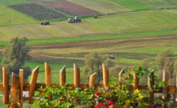 "Landschaftspflege"...  ;-)