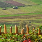 "Landschaftspflege"...  ;-)