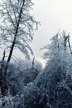 new day / new year