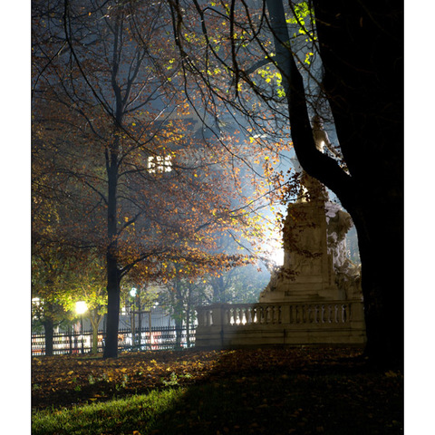 Eine Herbstnacht im Park
