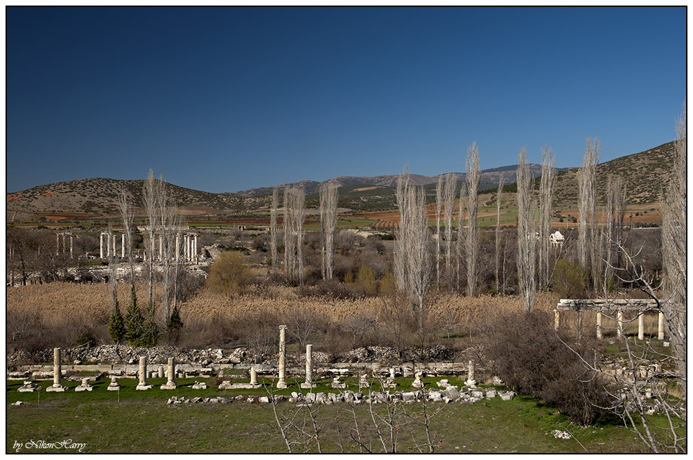Aphrodisias